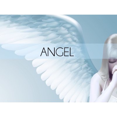 SmellieBars - Angel SmellieBars - Angel